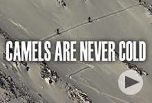 Camels Are Never Cold