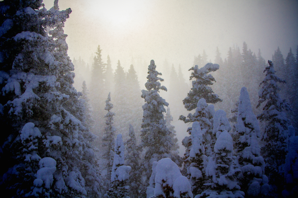 Farmers' Almanac releases 2015 winter forecast Snow Report - FREESKIER