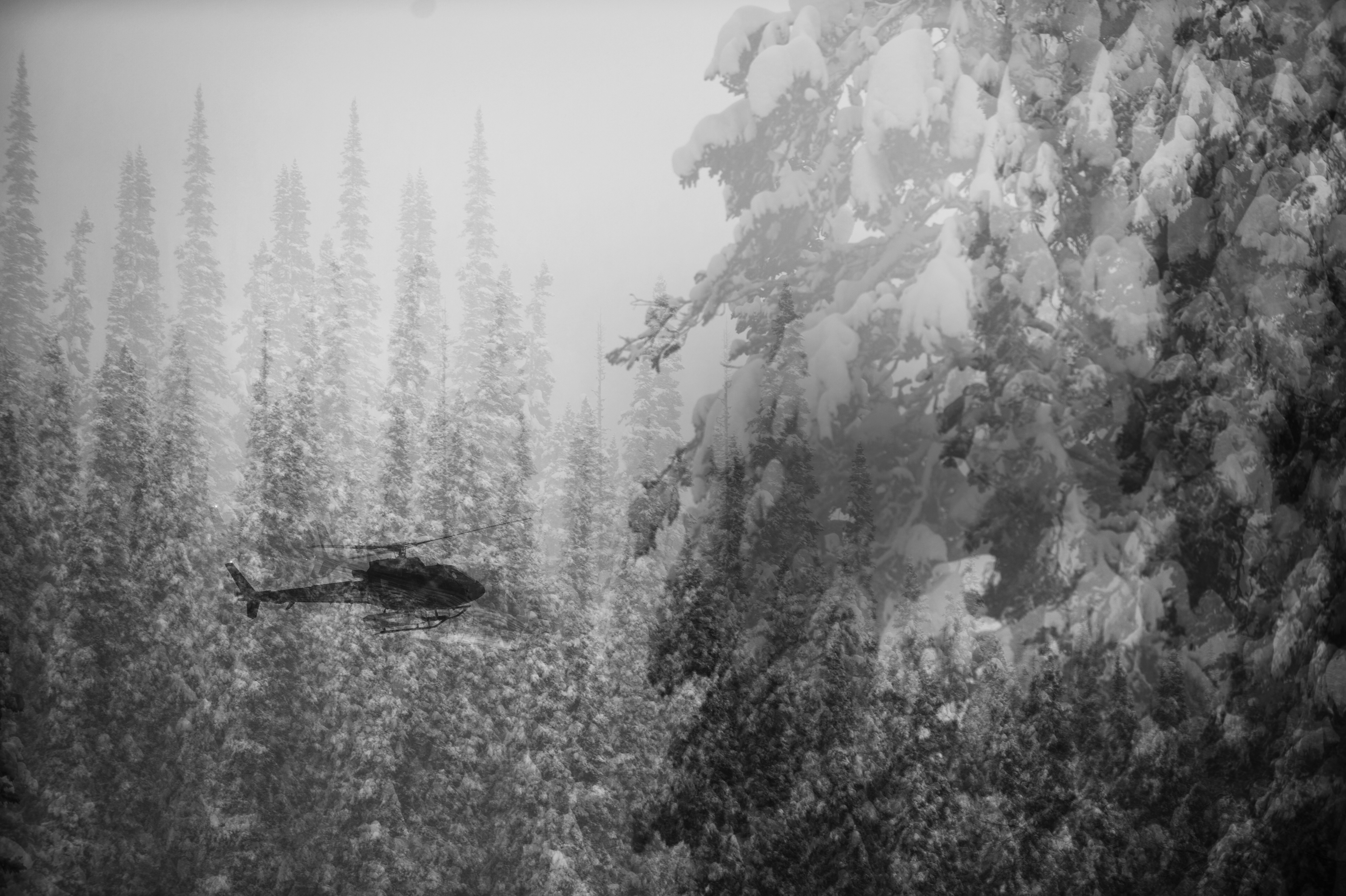 Heli skiing photo by Reuben Krabbe