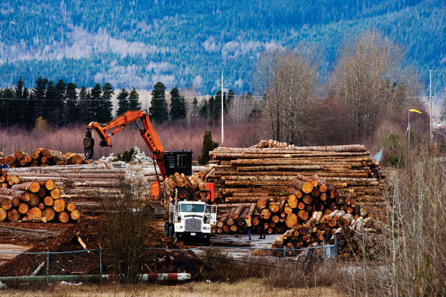 Logging in Northern BC