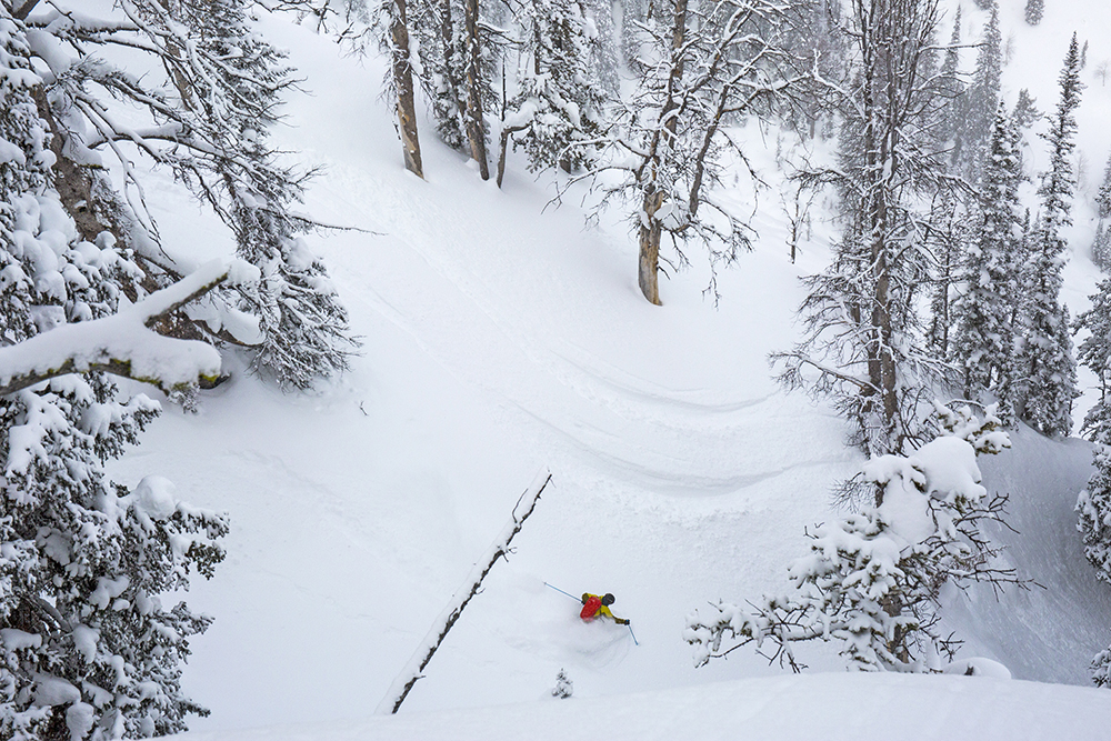 FREESKIER publisher Damian Quigley, lining up a deep power run. Photo: Donny O'Neill