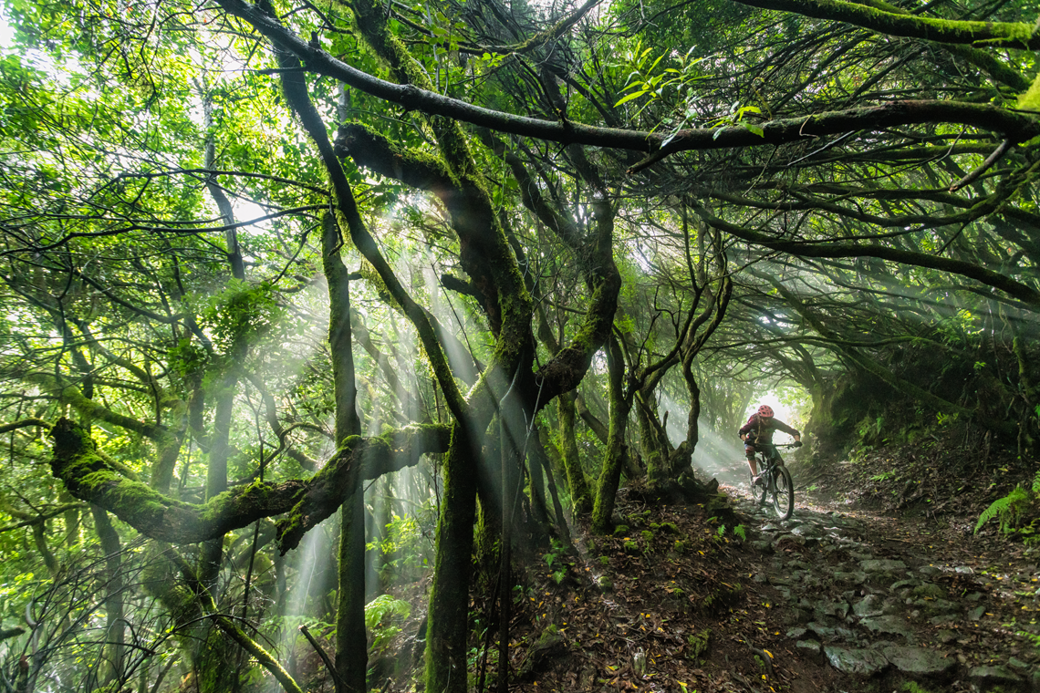 The Gear Locker] Mountain Biking Essentials - FREESKIER